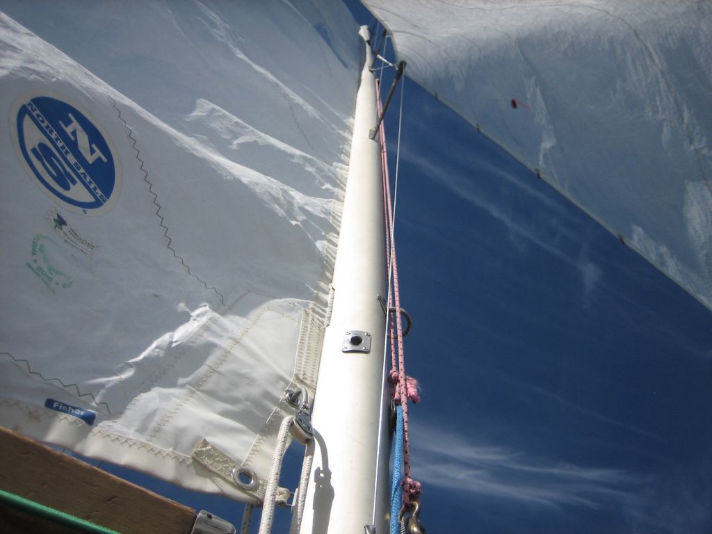 thistle-class-racing-echo-sail-check-mast