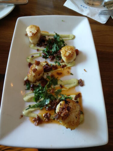 scallops-after-asa-instruction