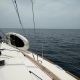bearing-due-south-catalina