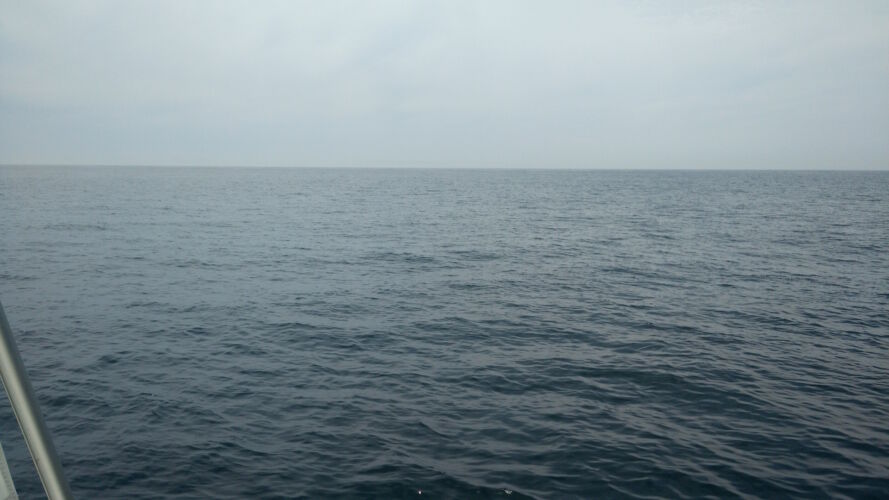 no-land-in-sight-catalina-bound